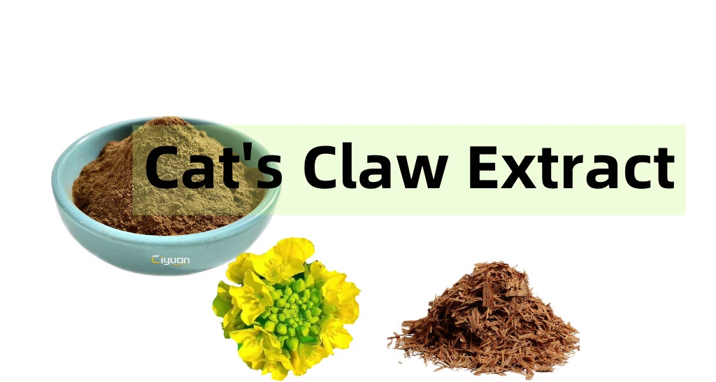 Cat's Claw Extract powder.png